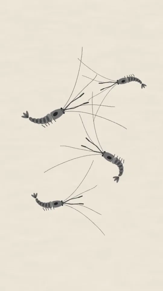 Chinese Ink Wash Animation