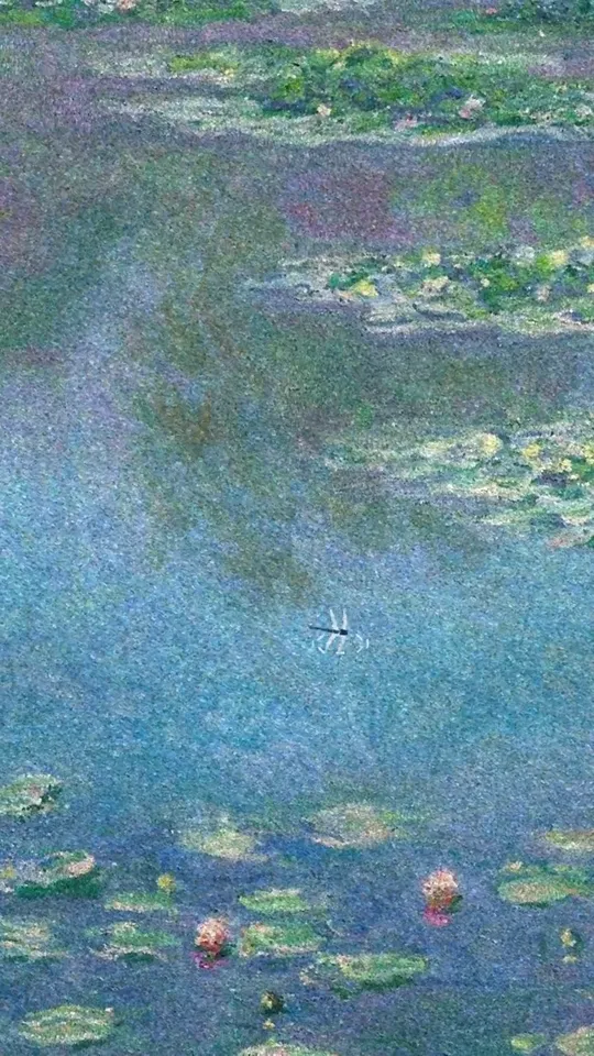 Monet Painting Animation